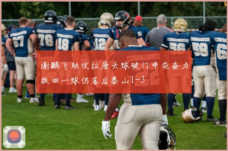 谢鹏飞助攻拉唐头球破门申花奋力扳回一球仍落后泰山1-3