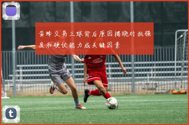 黄蜂交易三球背后原因揭晓对抗强度和硬仗能力成关键因素