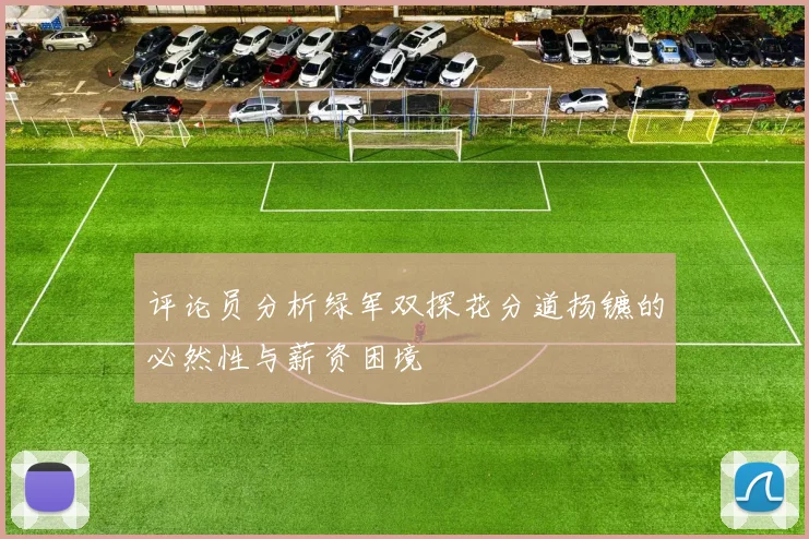 评论员分析绿军双探花分道扬镳的必然性与薪资困境