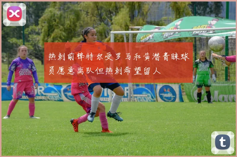 热刺前锋特尔受罗马和黄潜青睐球员愿意离队但热刺希望留人